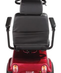 Rascal Pioneer (4)
