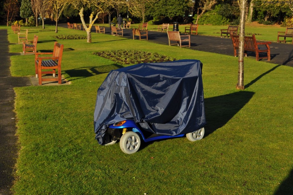 Devon Disability Collective