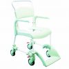 Clean Shower & Toilet Chair
