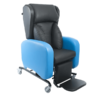 riser and recliner power chair duel and single motor