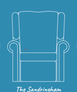 riser and recliner power chair duel and single motor